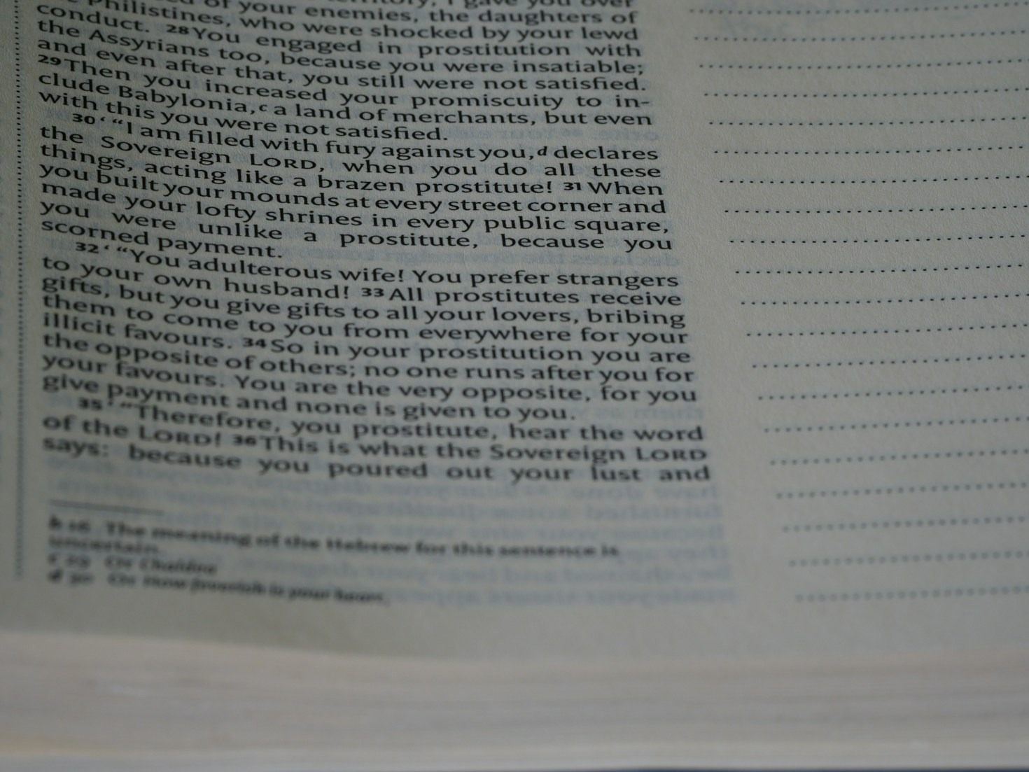 Top Resources Every Researcher Needs for Success